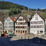 black forest hiking