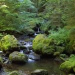 Black Forest Trail Hike Germany (1)
