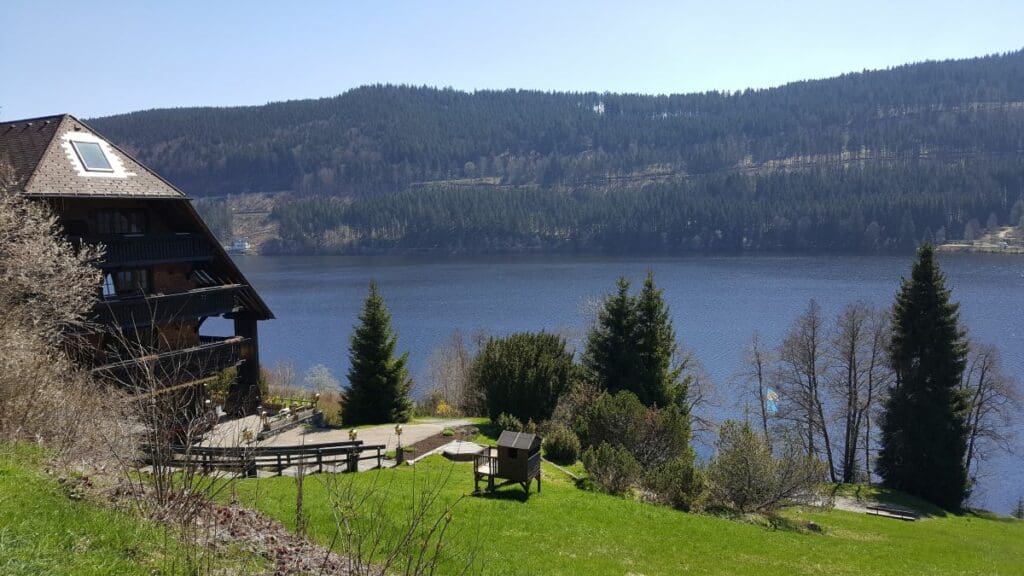 lake titisee hotel