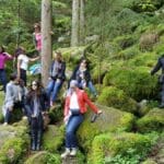 group tour black forest