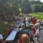 wine festival germany