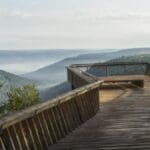 Red Deer Trail Black Forest Germany