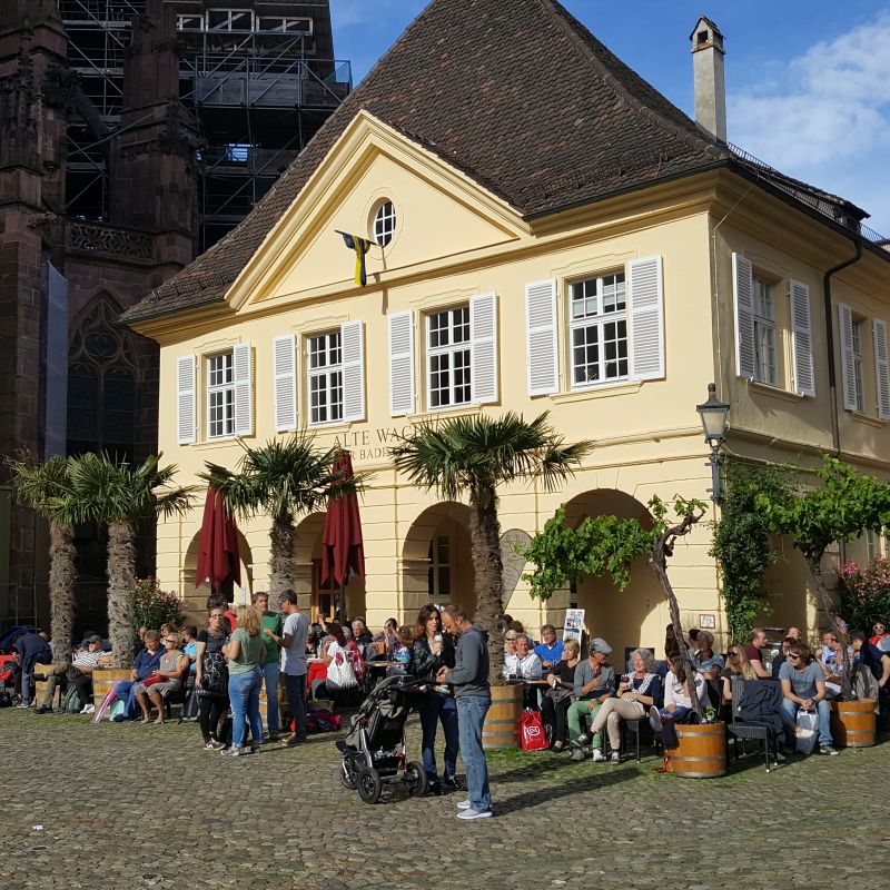 freiburg wine tour