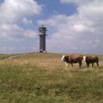 visiting feldberg mountain