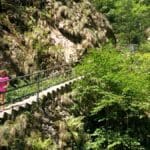 visiting the black forest from Baden Baden