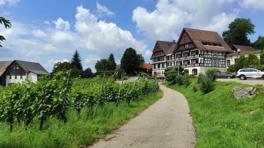 baden wine area