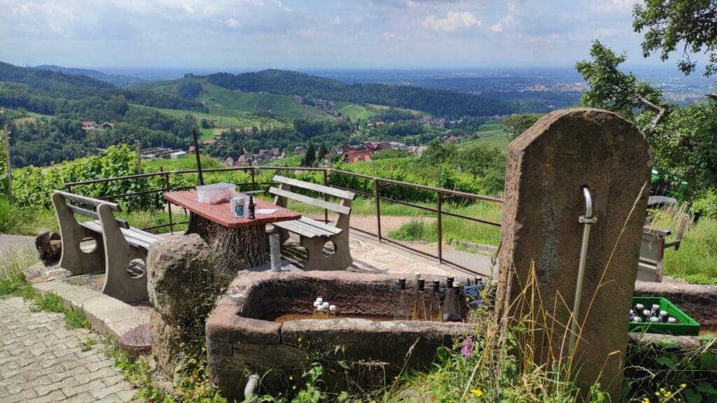 wine tasting in the black forest