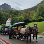 horse carriage castle neuschwanstein
