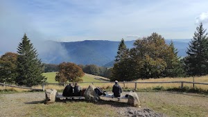 Black Forest Tours Black Forest Tours