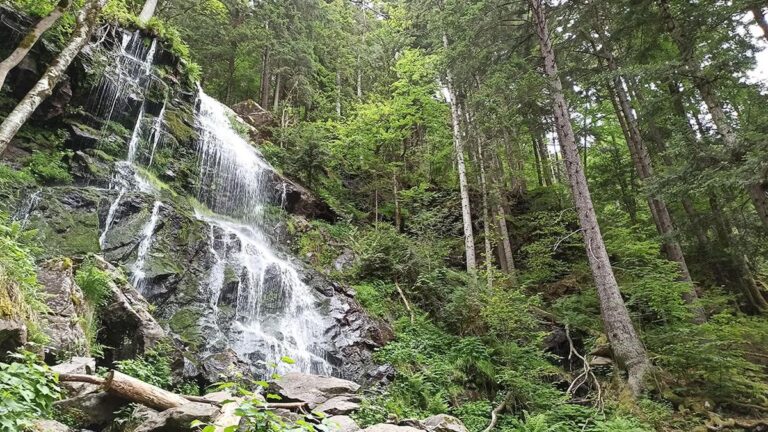 Black Forest Waterfall Hike