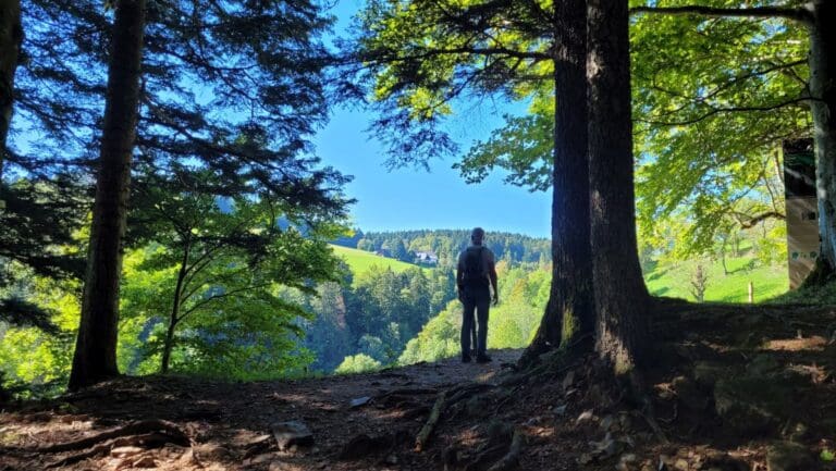 Best of the Black Forest