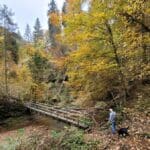 Top_Trails_BlackForest (4)