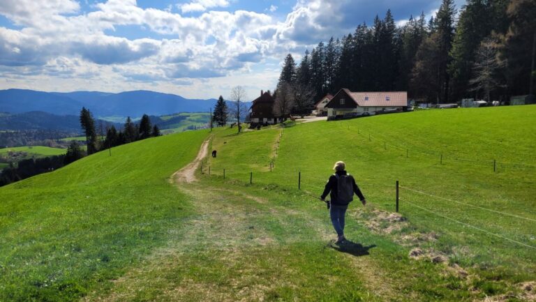 Black Forest Short Hikes