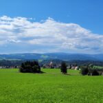 Day Hike Black Forest (1)