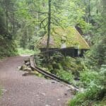 Day Hike Black Forest (2)
