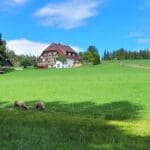 Day Hike Black Forest (3)