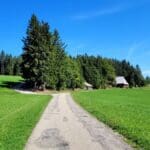 Day Hike Black Forest (5)