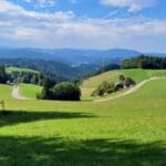 Guided HIke Black Forest (2)