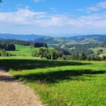 Guided HIke Black Forest (3)
