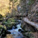 Short HIke Black Forest (11)