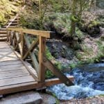 Short HIke Black Forest (12)