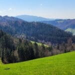 Short HIke Black Forest (14)