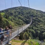 Tree top walk black forest