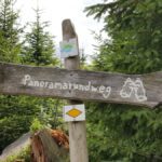 Baden-Baden hike (6)