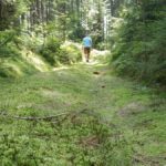Baden-Baden hike (7)