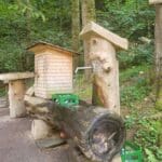 Dream Vacation Black Forest Germany (14)