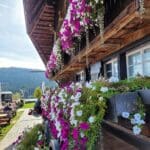 Dream Vacation Black Forest Germany (15)