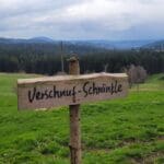 Dream Vacation Black Forest Germany (2)