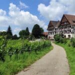 Luxury Tour Black Forest (2)