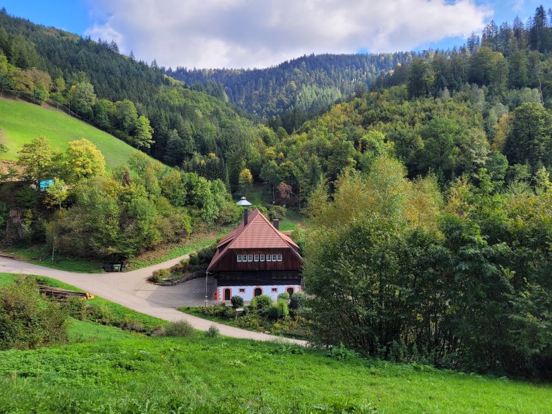 visit black forest by train
