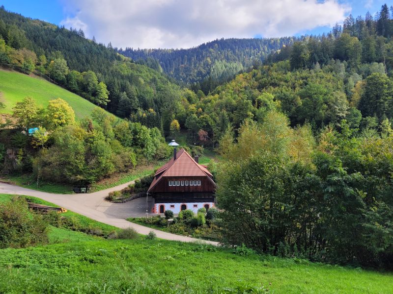 excursions black forest germany