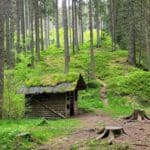 Hiking The Black Forest