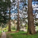 Baden_Baden Walking Tour