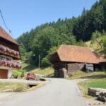 Schnapps Hike Black Forest (10)