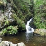 Schnapps Hike Black Forest (14)