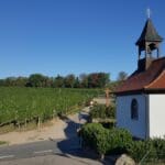 Schnapps Hike Black Forest (16)