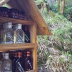 Schnapps Hike Black Forest (18)