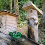 Schnapps Hike Black Forest (21)