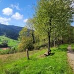 Schnapps Hike Black Forest (23)