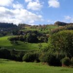 Schnapsfountain Black Forest (9)