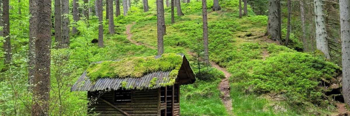 Hiking The Black Forest